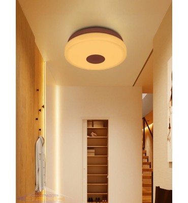 Smart Ceiling Lamp